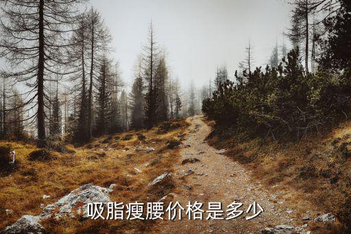 深圳抽脂多少錢美來,吸脂瘦腰價格是多少