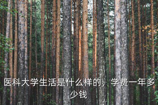 廣東醫科大學一個宿舍網費多少,醫科大學生活是什么樣的