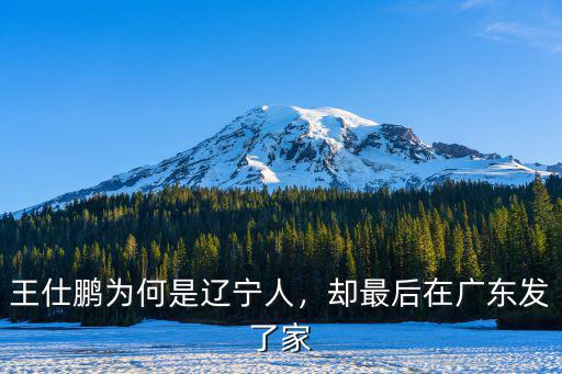 廣東球隊王仕鵬是哪里人,王仕鵬為何是遼寧人
