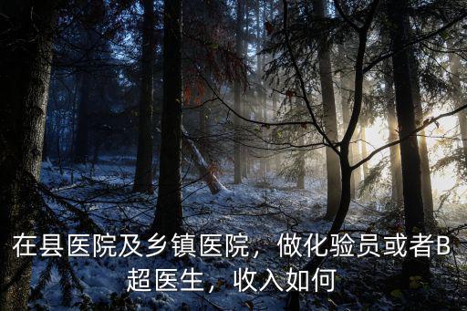 深圳私立醫院b超醫生工資多少錢啊,做化驗員或者B超醫生
