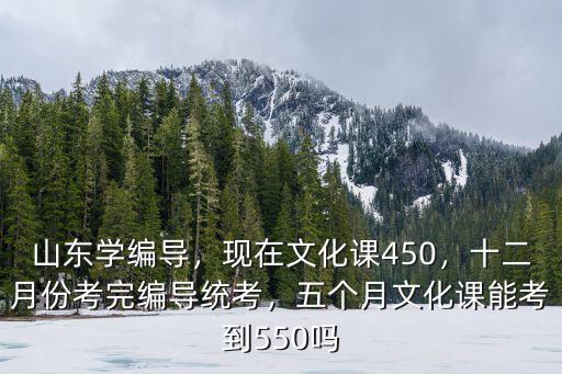 山東聯考編導多少分過,編導統考過線了