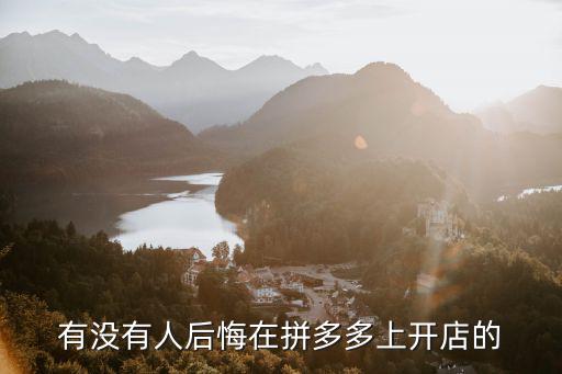 有多少人在珠海開(kāi)拼多多,拼多多現(xiàn)在開(kāi)店有前景嗎