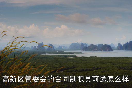 高新區管委會的合同制職員前途怎么樣