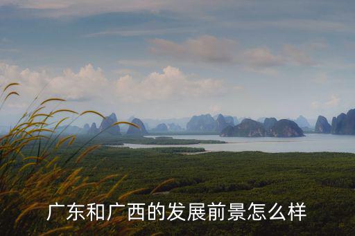 廣東和廣西的發展前景怎么樣