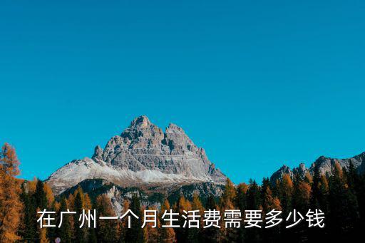 廣州買衣服的多少錢一個月多少錢,在廣州做廣漂一族