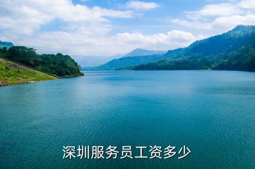 深圳酒店客服一般工資多少,深圳服務員工資多少