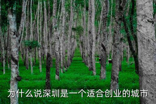 為什么說深圳是一個適合創(chuàng)業(yè)的城市