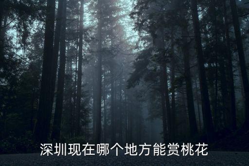 深圳5月看花的地方在哪里2020,深圳現(xiàn)在哪個(gè)地方能賞桃花