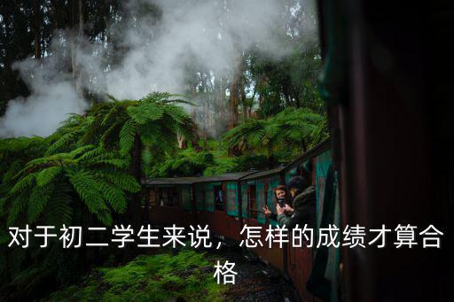 對于初二學生來說，怎樣的成績才算合格