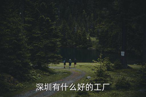 深圳有什么好的工廠