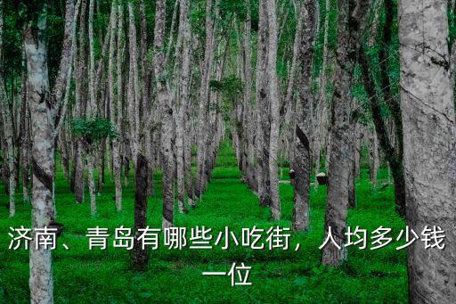 濟南、青島有哪些小吃街，人均多少錢一位