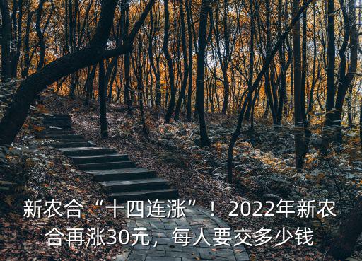 濱州新農(nóng)合交多少錢(qián),每人要交多少錢(qián)