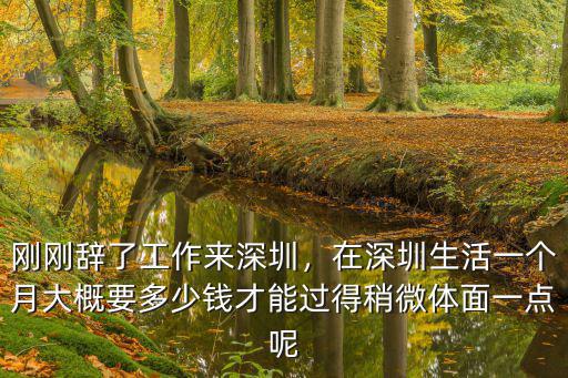 深圳一個(gè)月內(nèi)消費(fèi)多少,正常一個(gè)月的消費(fèi)水平是多少