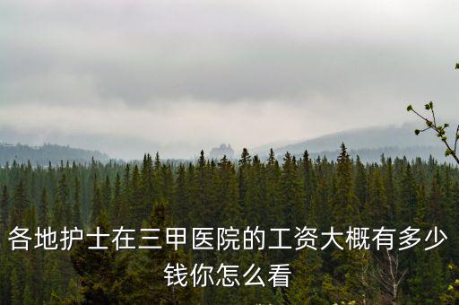 東莞護士一般工資多少,東莞護士工資怎么樣啊