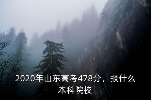 2020山東新高考可以報多少學校,2020年山東高考478分