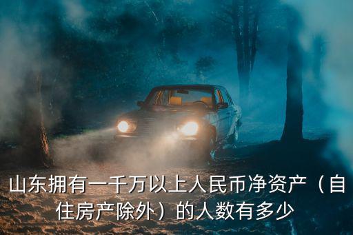 山東擁有一千萬以上人民幣凈資產（自住房產除外）的人數有多少