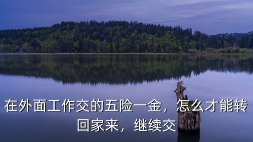 深圳五險(xiǎn)一金怎么轉(zhuǎn)回河北,怎么才能轉(zhuǎn)回家來