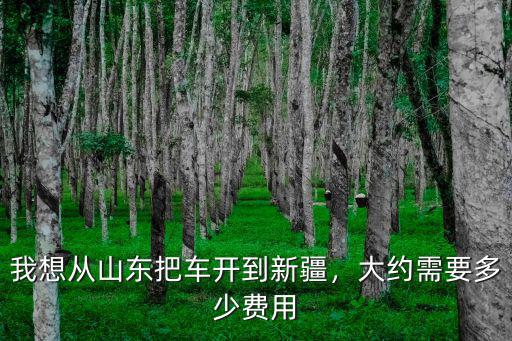 我想從山東把車開到新疆，大約需要多少費用