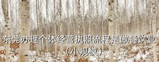 東莞餐飲公司怎么注冊流程,東莞辦理個體經(jīng)營執(zhí)照流程