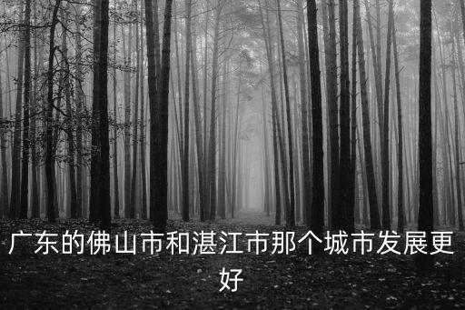 廣東的佛山市和湛江市那個(gè)城市發(fā)展更好