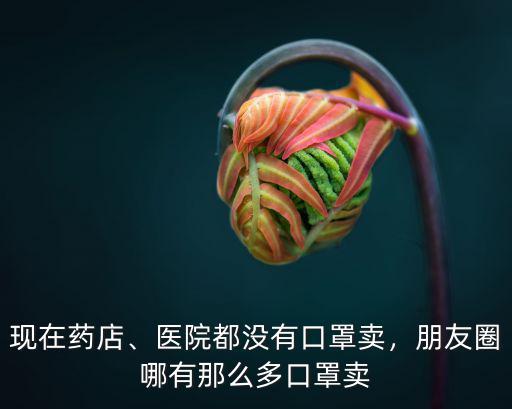 現在藥店、醫院都沒有口罩賣，朋友圈哪有那么多口罩賣