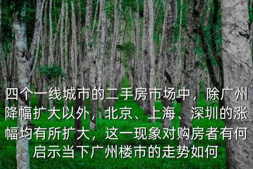深圳二手房的前景怎么樣,深圳的漲幅均有所擴(kuò)大