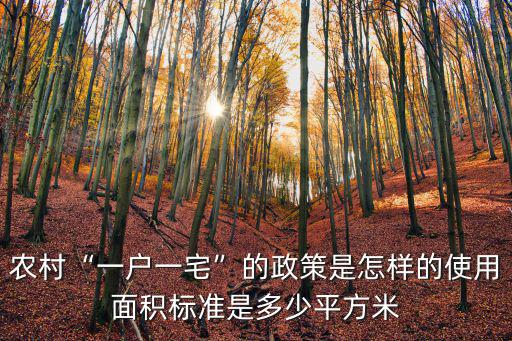 山東微山一戶一宅面積是多少,農(nóng)村一戶一宅的政策是怎樣的