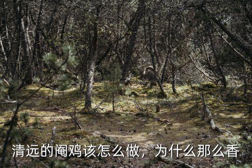 廣東清遠麻雞配送怎么做,醬油雞怎么做