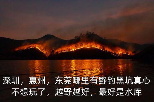 深圳，惠州，東莞哪里有野釣黑坑真心不想玩了，越野越好，最好是水庫