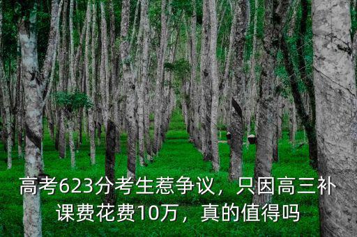 廣州高三補課費多少,只因高三補課費花費10萬