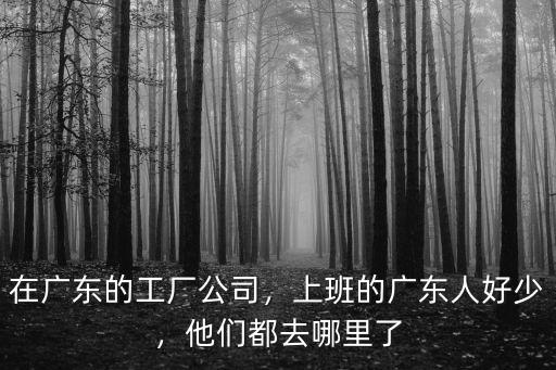 廣東人適合去哪里打工,現在一個人要去廣東打工了
