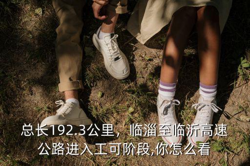 總長192.3公里，臨淄至臨沂高速公路進入工可階段,你怎么看
