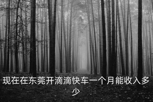 東莞現(xiàn)在跑滴滴多少錢一個(gè)月,在東莞跑滴滴發(fā)展前景咋樣