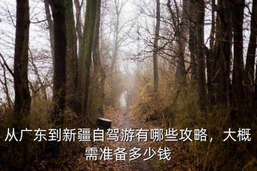 從廣東到新疆自駕游有哪些攻略，大概需準(zhǔn)備多少錢