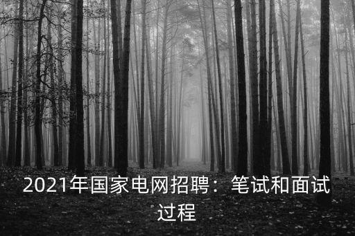 山東電網2021年面試有多少人,面試加分項有哪些