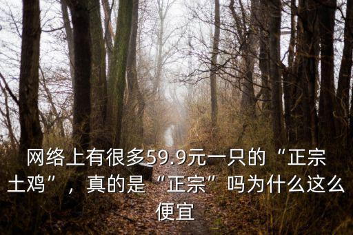 網絡上有很多59.9元一只的“正宗土雞”，真的是“正宗”嗎為什么這么便宜