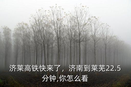 高鐵濟南到萊蕪多少錢,濟南到萊蕪22.5分鐘