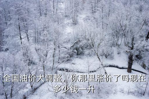 臨沂油價多少錢一升,現在多少錢一升