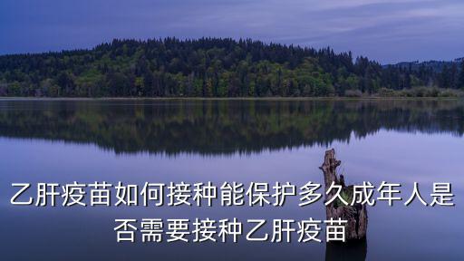乙肝疫苗如何接種能保護(hù)多久成年人是否需要接種乙肝疫苗