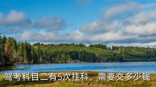 青島駕考科目二補考繳費多少錢,需要交多少錢