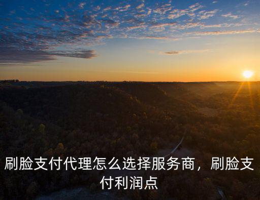 深圳利潤高的小馬哥刷臉支付多少錢,刷臉支付如何盈利