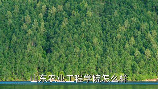 山東農(nóng)業(yè)工程學(xué)院專升本率是多少,山東專升本哪一個學(xué)校比較好