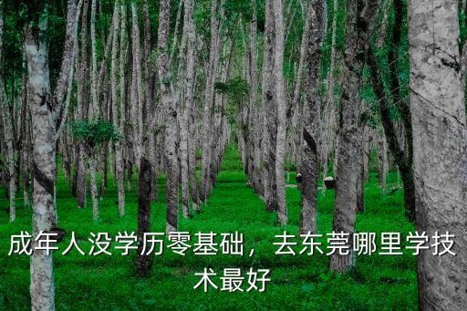 成年人沒學(xué)歷零基礎(chǔ)，去東莞哪里學(xué)技術(shù)最好