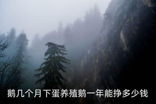 棗莊小鵝一斤多少錢,養殖鵝一年能掙多少錢