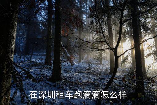 深圳跑滴滴租車一天多少錢,我想租車跑滴滴