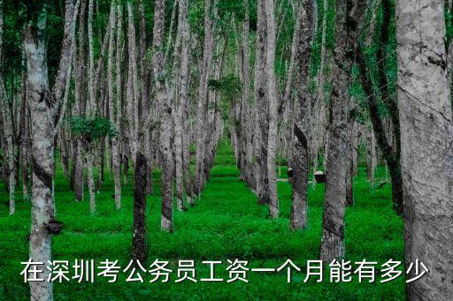 外地人考深圳公務(wù)員住宿怎么樣,深圳市公務(wù)員考試難度怎么樣