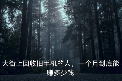 山東收二手機(jī)電話是多少錢一個(gè)月,一個(gè)月能賺多少錢