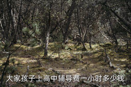 廣州高中地理補課要多少錢一小時?,高中補課多少錢一小時合理