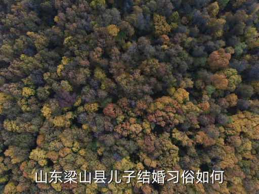 山東濟寧市梁山縣彩禮一般是多少,山東梁山縣兒子結婚習俗如何