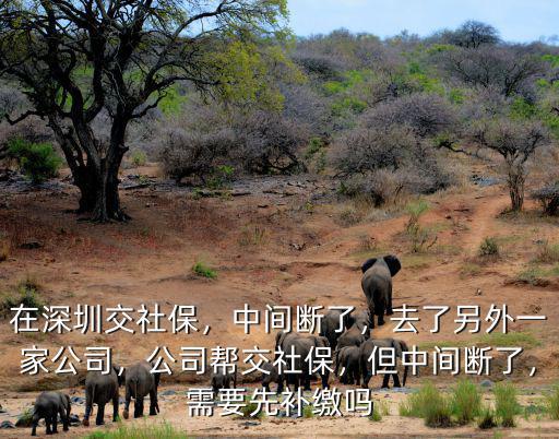 深圳社保斷斷續(xù)續(xù)繳怎么辦,深圳社保斷繳15個月